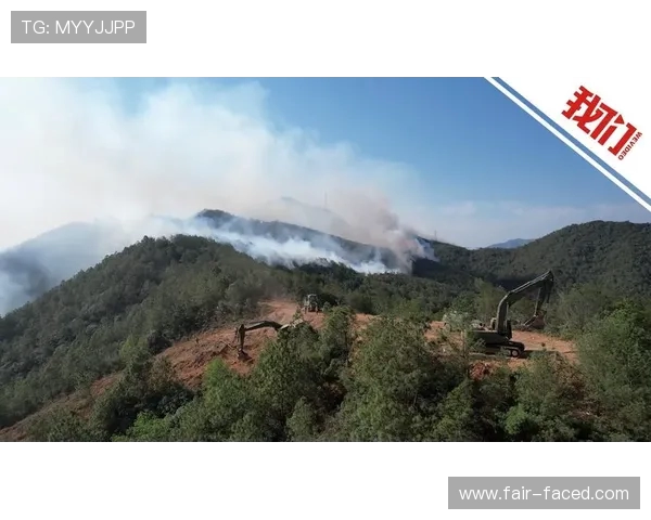 挖掘机森林火灾余火掩埋灭火