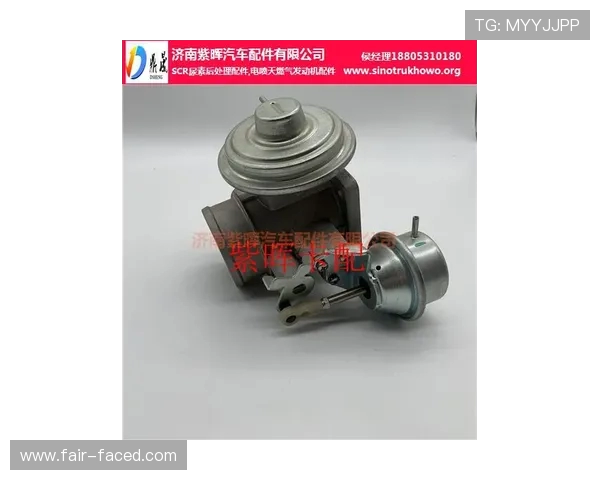 挖掘机燃油回油单向阀芯