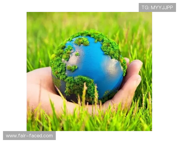 挖掘机绿色施工环保公益行